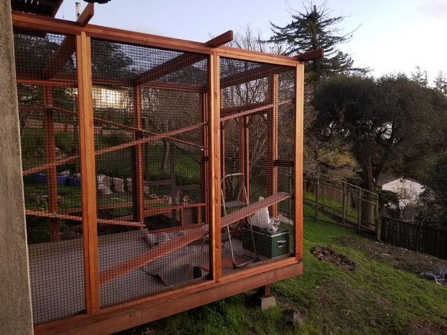 Catio shelves 2024